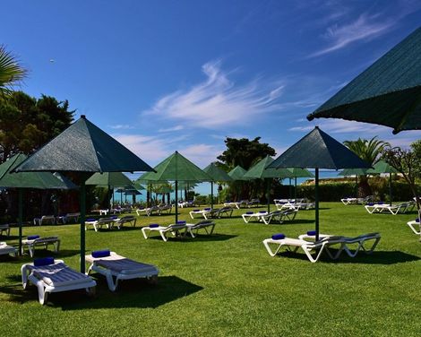 Pestana Viking-4