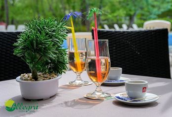 Hotel, Hotel Allegra