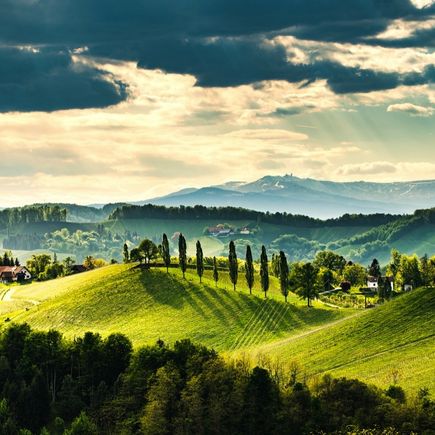 Weinbaulandschaft Steiermark