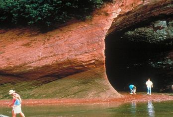 Holiday Inn Express Saint John Harbour Side
