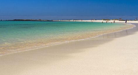 TAO Caleta Mar