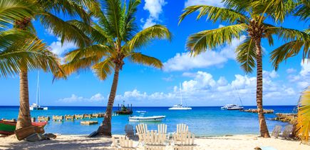 Pauschalreisen Playa Punta Cana