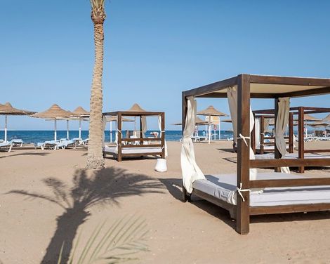 Calimera Blend Paradise-2