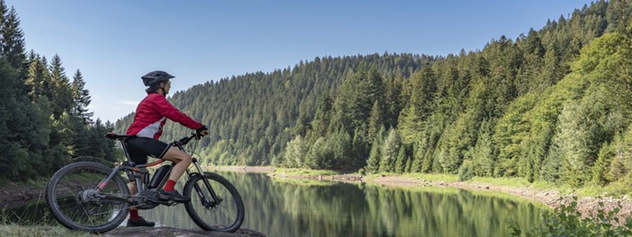 Ein Mountainbiker fährt einen Pfad entlang eines Sees, umgeben von Bäumen und Bergen.