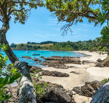 Strand in Neuseeland
