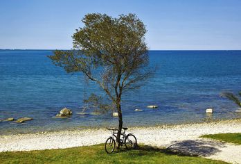 Hotel, Aminess Sirena Mobile Homes