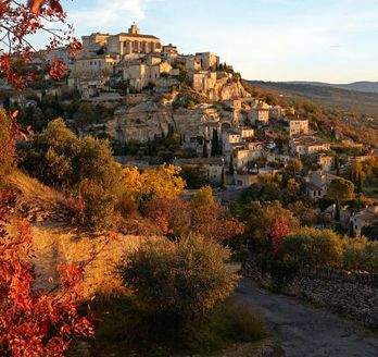 Eine Landschaft mit Bäumen in Herbstfarben und einem Fluss.