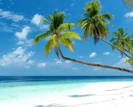 Mercure Maldives Kooddoo Resort-4