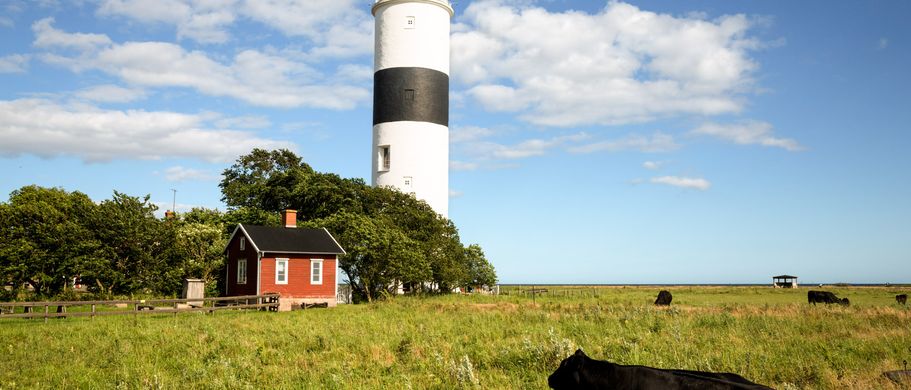 Sonneninsel Öland mit Schwedens höchstem Leuchtturm „Lange Jan“