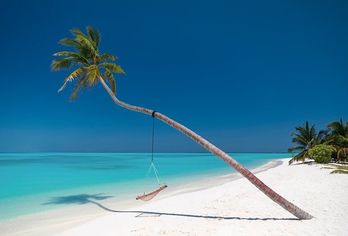 Hotel, Meeru Maldives Resort Island