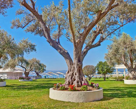 Palmariva Beach Hotel-3