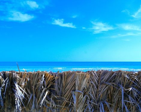 Hotel Al Jazira Beach & Spa-3