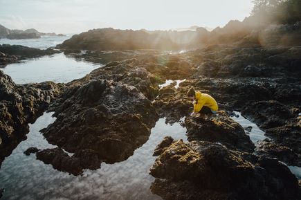 Wild Pacific Trail-Mensch hockt auf Felsen und blickt ins WAsser