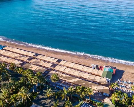 Leodikya Kirman Premium-0