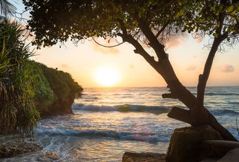 Swahili Beach