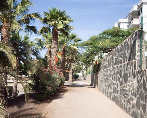 Apartamentos LIVVO Tarahal-2