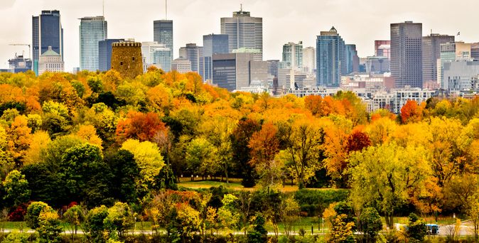 Skyline Montreal