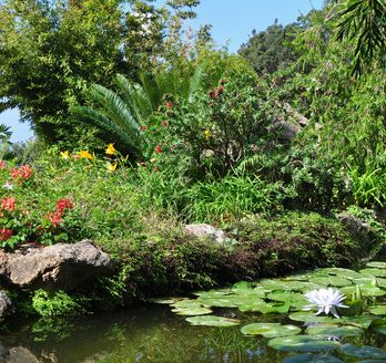 Blick auf den botanischen Garten La Mortella.