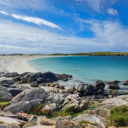 Dogs Beach in Galway
