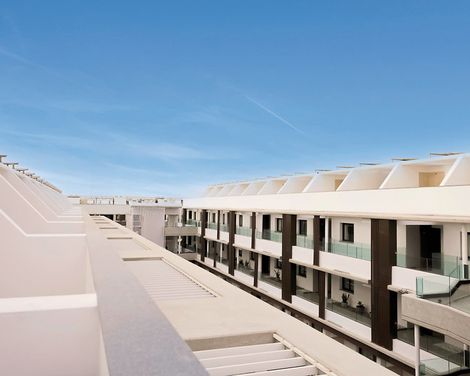 Coral Cotillo Reef-2