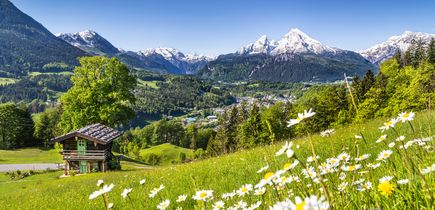Tiroler Alpen mit grüner Natur