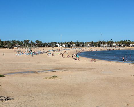 Globales Costa Tropical-0