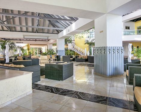 Allegro Palma Real-4