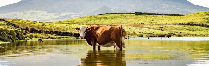 Ein Berg mit einem See, der sich im Wasser spiegelt.