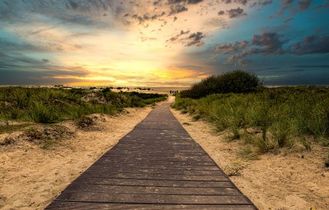 Ein Holzsteg entlang des Strandes, sonniger Tag.