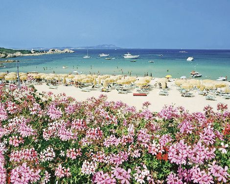 Hotel Punta Est-1