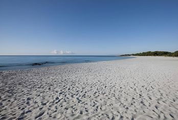 Hotel, Hotel Residence Cala Liberotto