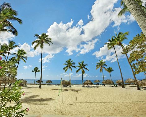 Viva Dominicus Beach by Wyndham, A Trademark All Inclusive-0