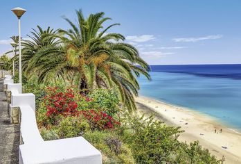 Hotel, SBH Hotel Club Paraiso Playa