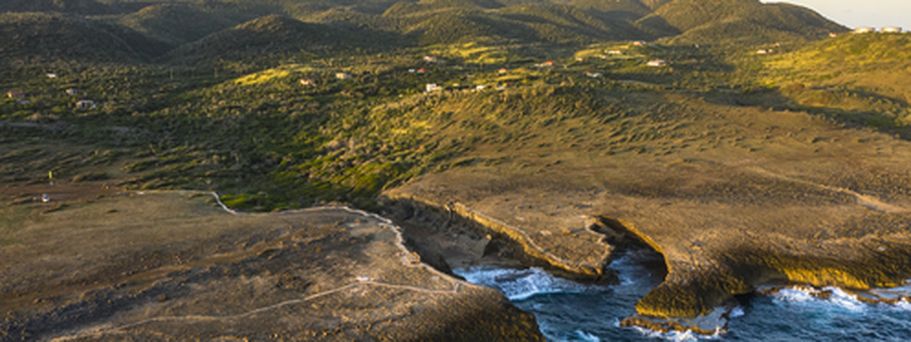 Eine felsige Küstenlandschaft mit grüner Vegetation und Blick auf das Meer.
