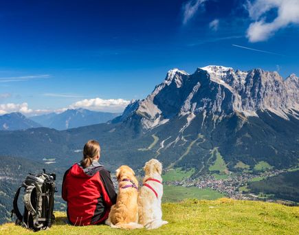Wanderer sitz auf Wiese mit Hunden vor Berg