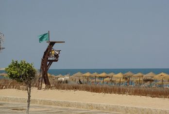 Hotel, Apartamentos Turísticos Jardines del Plaza