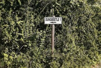 Hotel, Addo Dung Beetle Guest Farm