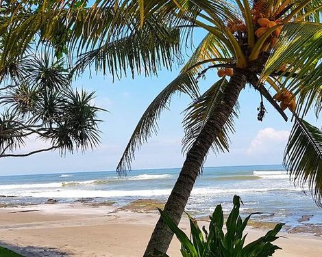 Puri Dajuma Beach Eco Resort & Spa Bali-1