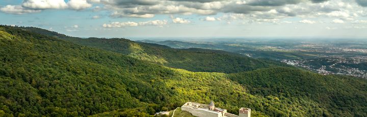 Eine grüne Berglandschaft mit einem Tal.