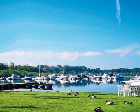 Lido di Sesto Camping (by Happy Camp)-0