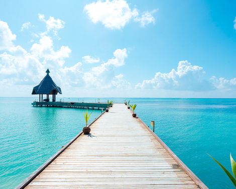 Canareef Resort Maldives-4