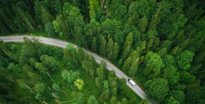 Luftaufnahme: Eine grüne, kurvenreiche Straße schlängelt sich durch einen dichten Wald.