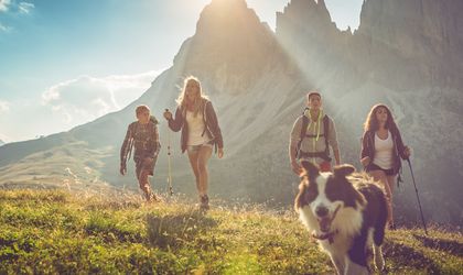Familienurlaub mit Hund in den Dolomiten