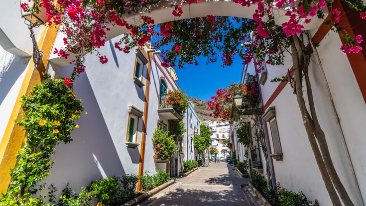 Blick auf eine hübsche Gasse, welche mit Blumen behangen ist.