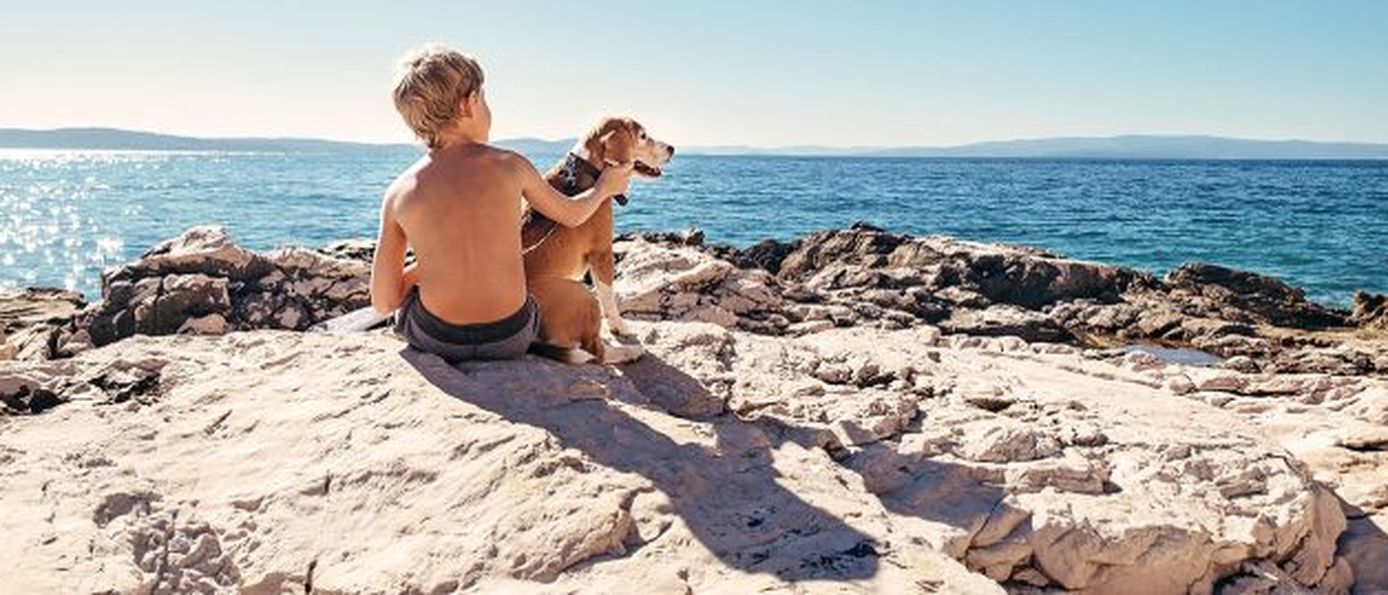  am Hundestrand