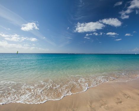 IFA Altamarena by Lopesan Hotels-1