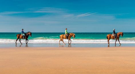 Fuerte Conil-Resort