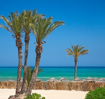 Tunesien Urlaub - Djerba Insel
