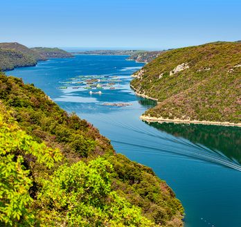Bliuck auf das Limski Fjord