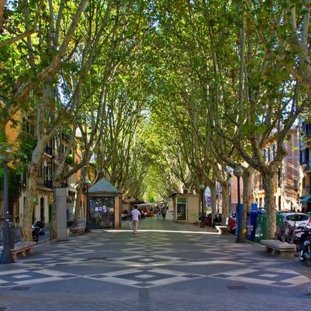 Passeig des Born, Palma de Mallorca